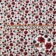 Latest high quality sequin embroidery fabric for evening dress